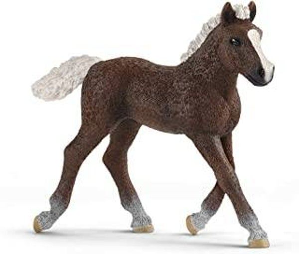SCHLEICH   Schwarzwälder Fohlen  13899