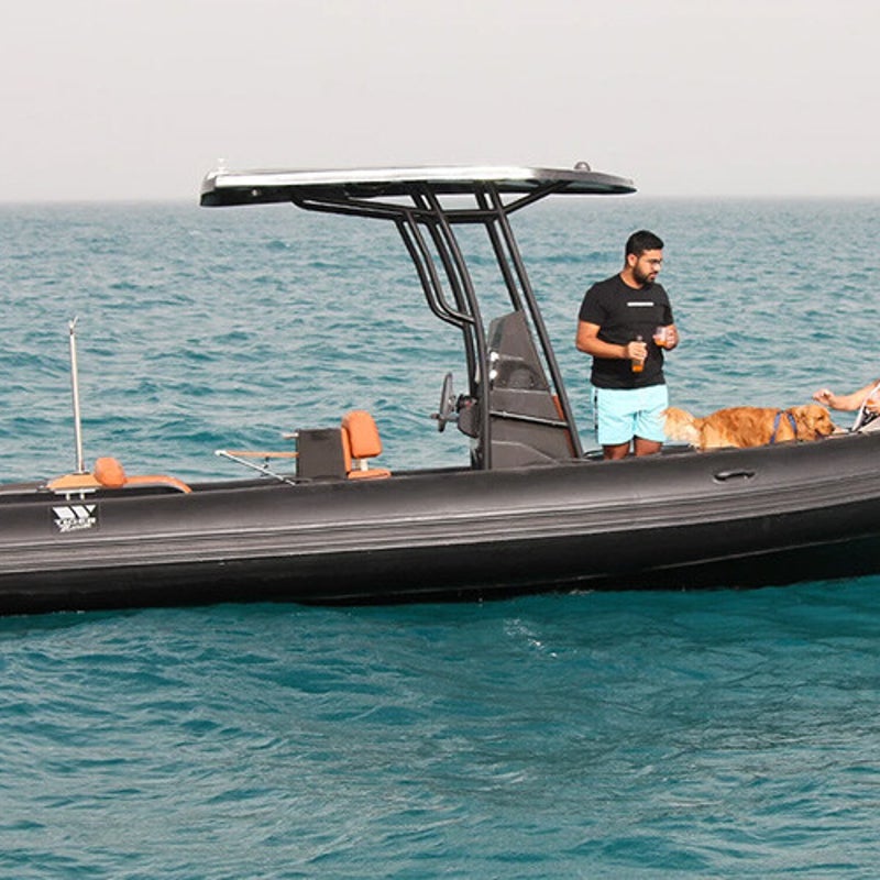 620-3-standard-h5wa71.jpg