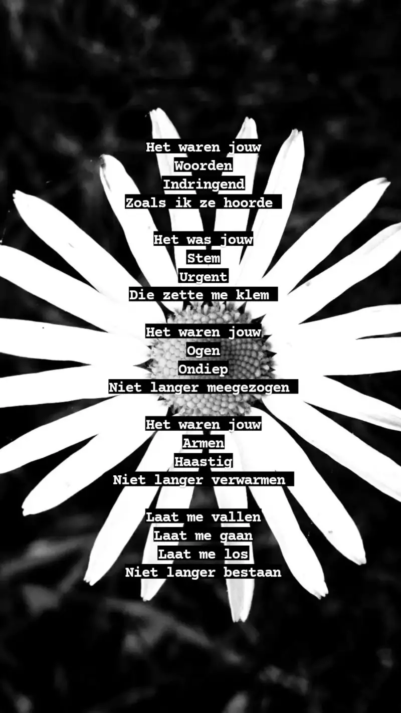 Het waren jouw woorden, Indringend zoals ik ze hoorde. Het was jouw stem, urgent, die zette me klem. Het waren jouw ogen, ondiep, niet langer meegezogen. Het waren jouw armen, haastig, niet langer verwarmen. Laat me vallen, laat me gaan, laat me los, niet