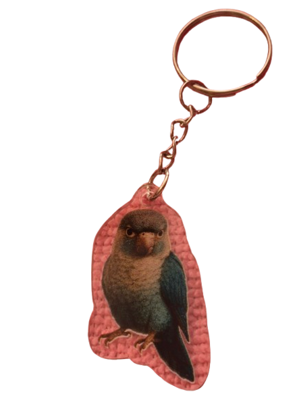 Porte clé molinae turquoise