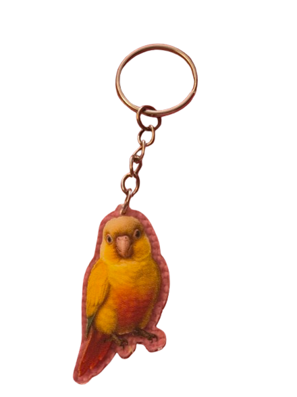 Conure ananas