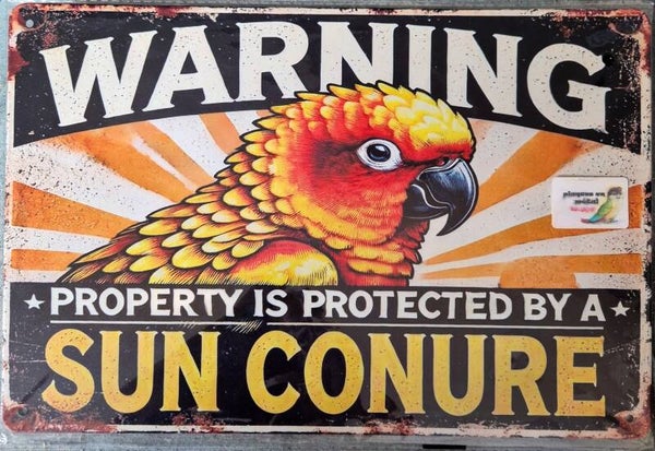 Plaque conure soleil