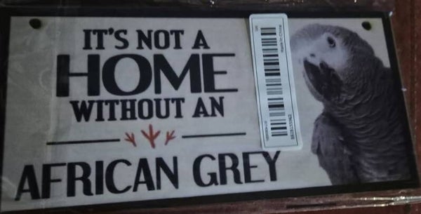 Plaque gris du gabon