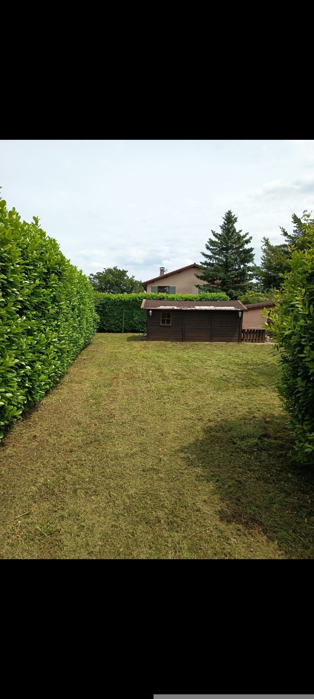 Tonte de pelouse 