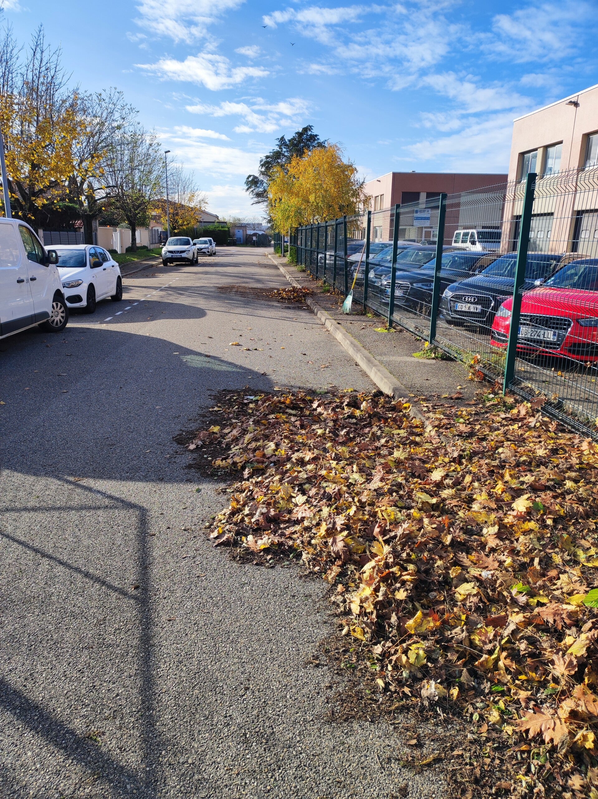 ramassage feuilles mortes