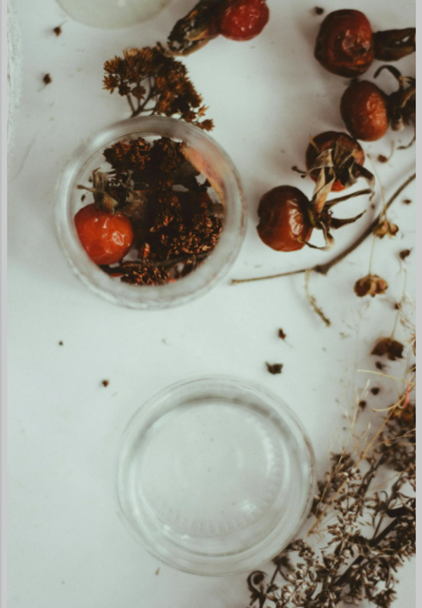 Vitalist Herbal Enquiry