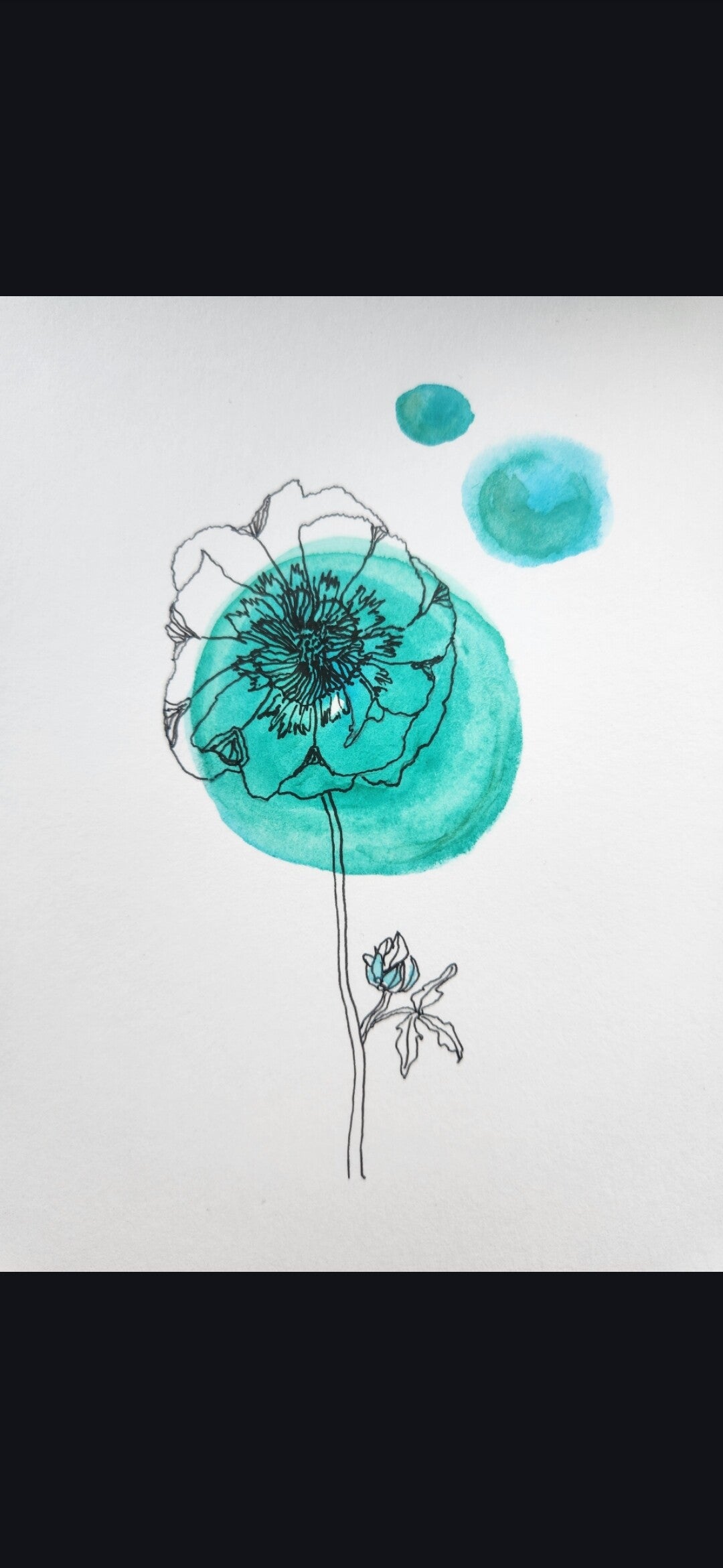 Fleur bleue