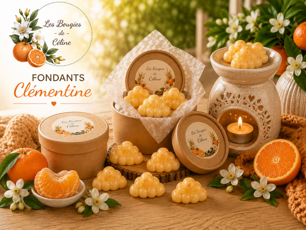 Boite de Fondants Parfumés Clémentine