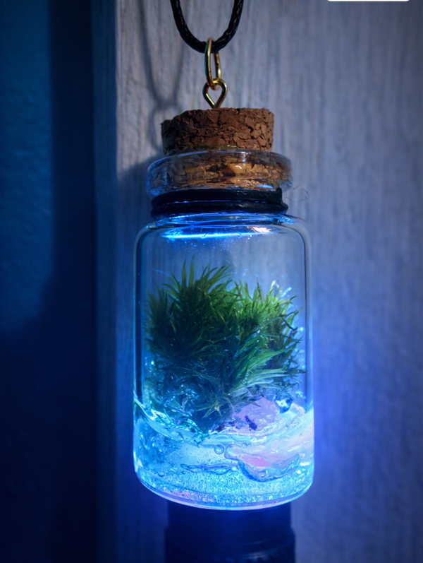 BioBonBon Potion