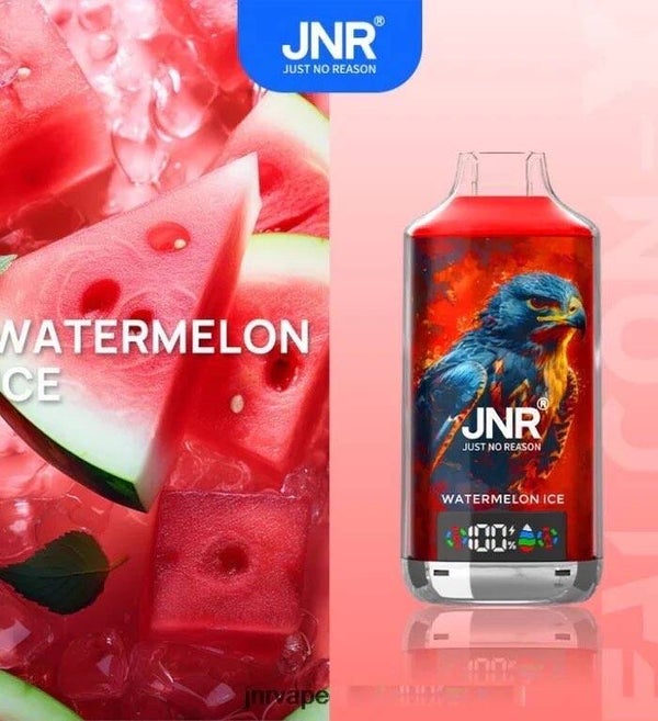 Puff JNR 18k Watermelon ice