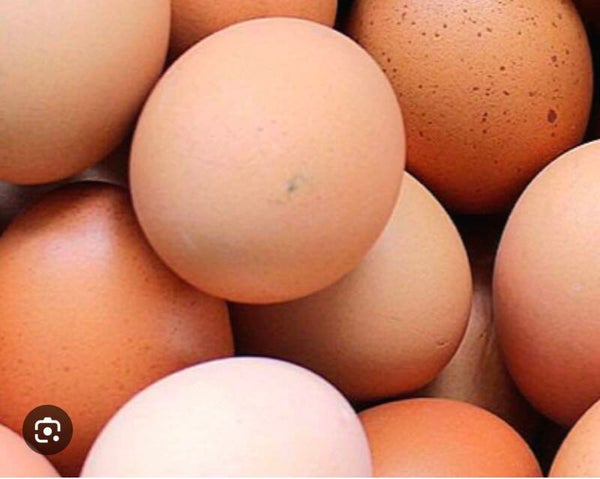 18-pack Eggs