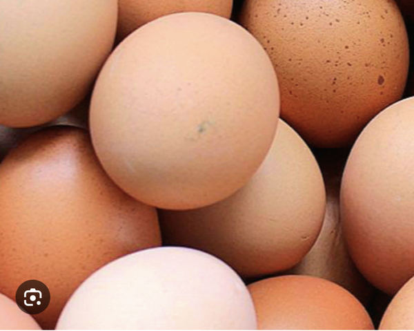 Dozen Eggs