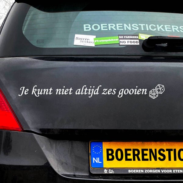 Je kunt niet altijd zes gooien | Raamsticker