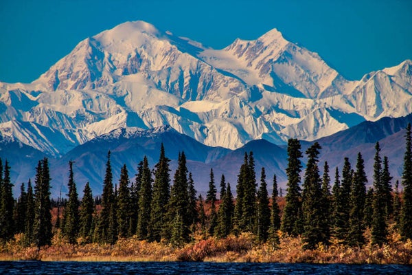 Denali Contribution Level