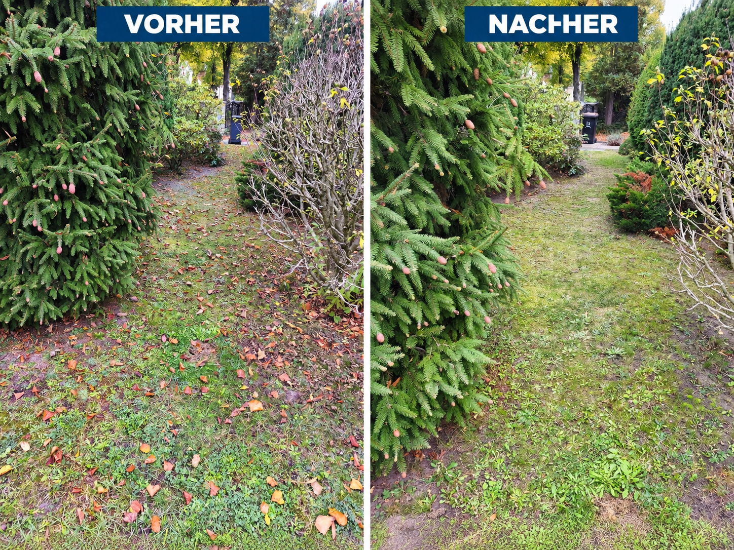 Laubbeseitigung an einem Gartenweg zwischen Sträuchern und Bäumen – Vorher-Nachher-Vergleich