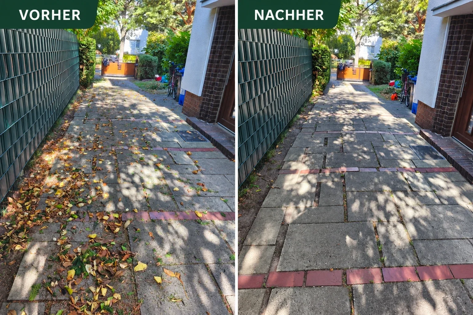 Hecke entlang eines Metallzauns vor und nach dem Formschnitt