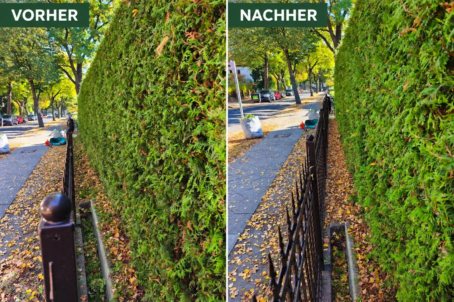 Hecke neben einer Garage vor und nach dem Rückschnitt