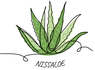 Nissaloe