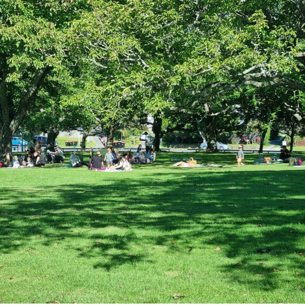 Waipuna Park - 11th June 2026 (last session before our long break)