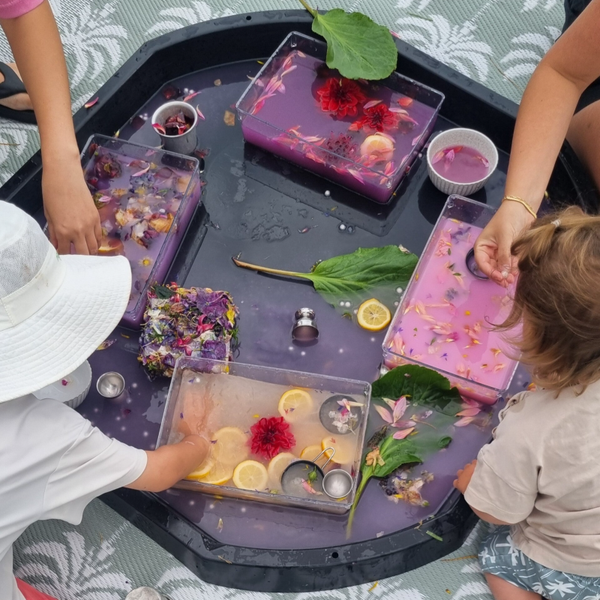 Moa Park, Mount Maunganui - 19th February 2026