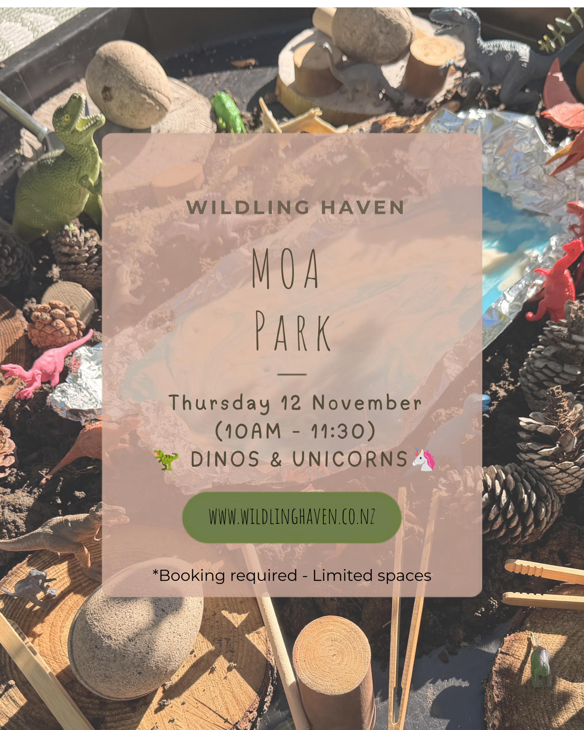 📍 Moa Park | 🗓 Thursday, 12 November 2026