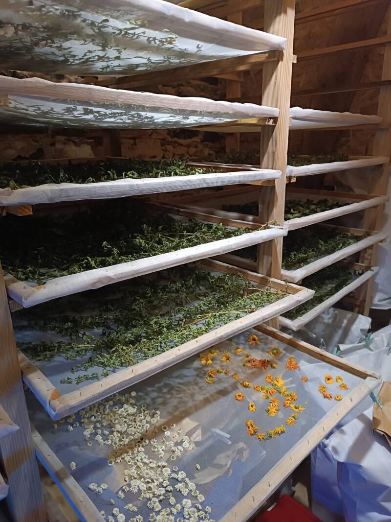 mon séchoir, lieu de séchage de mes plantes,