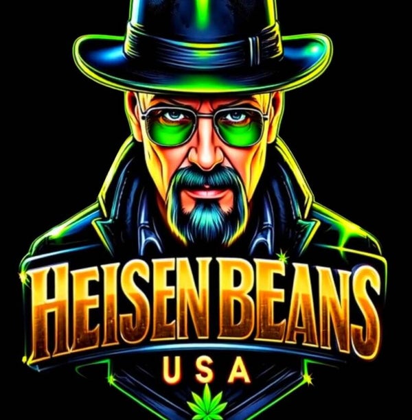 Heisenbeans feminised 6 seed pack. All Strains (Copy) (Copy)