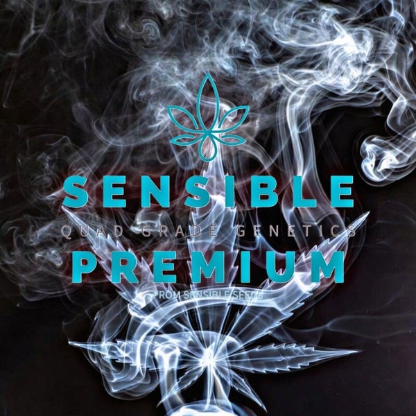 Sensible Premium