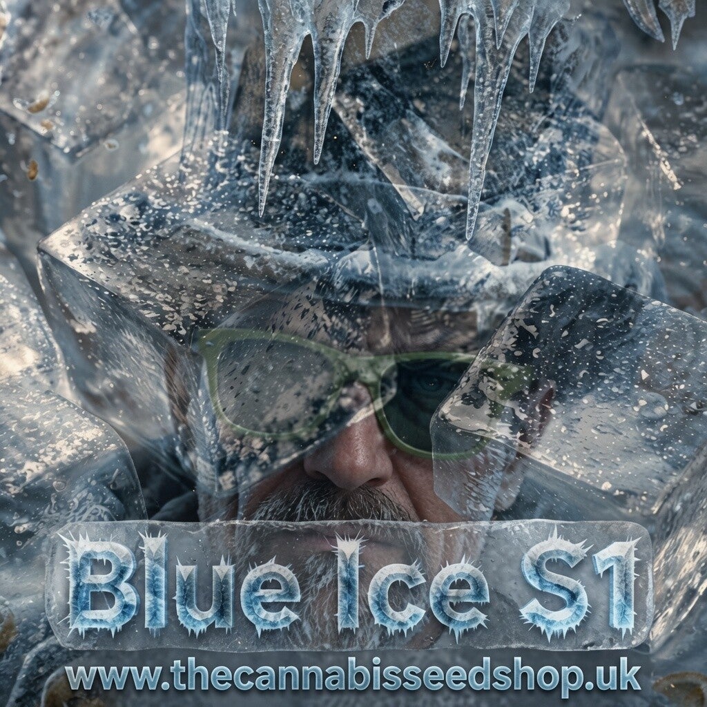 Blue Ice S1