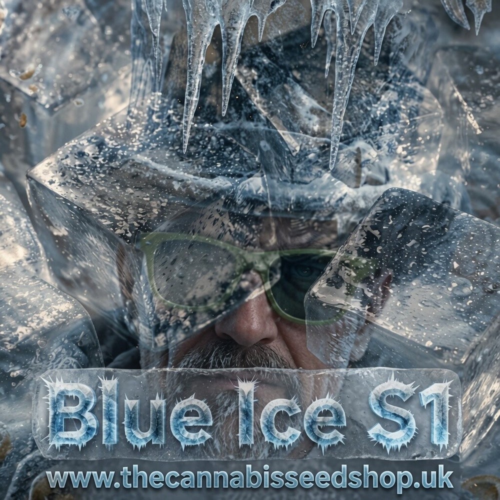 Blue Ice S1 Premium Flower Profile