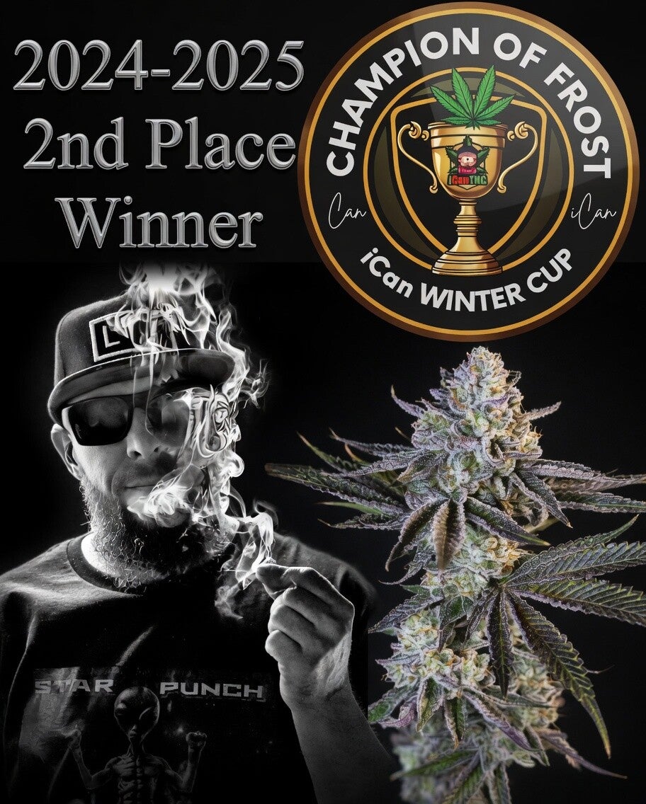 2024-2025 iCan Winter Cup Winner - Champion of Frost - Disco Inferno by HeisenBeans