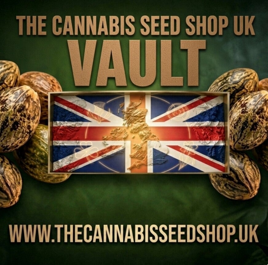Feminised Premium Archive Header - The Cannabis Seed Shop
