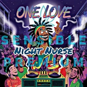 Sensible Premium Night Nurse Pack