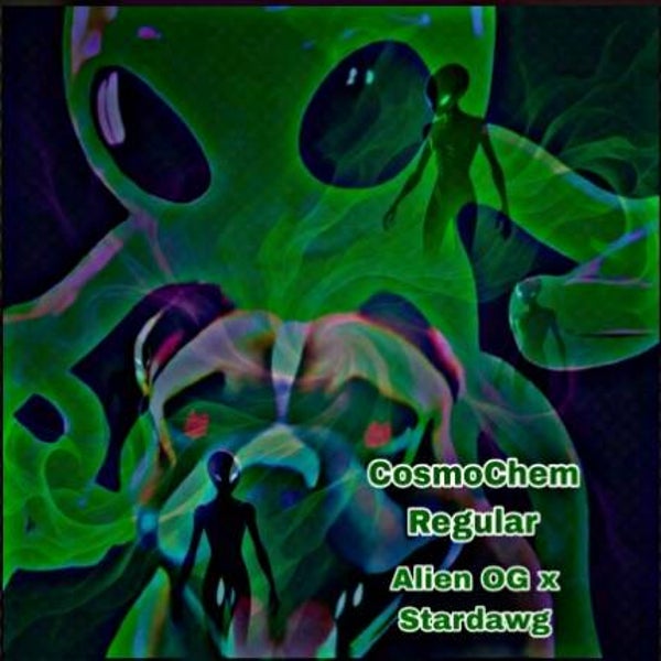 CosmoChem Regular Cannabis Seeds | Buy Heisenbeans in the UK 🇬🇧 Direct