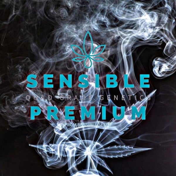 Feminised 3-for-2 Premium Bundle