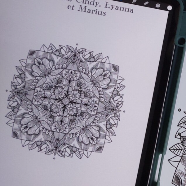 Mandala détaillé par e-mail