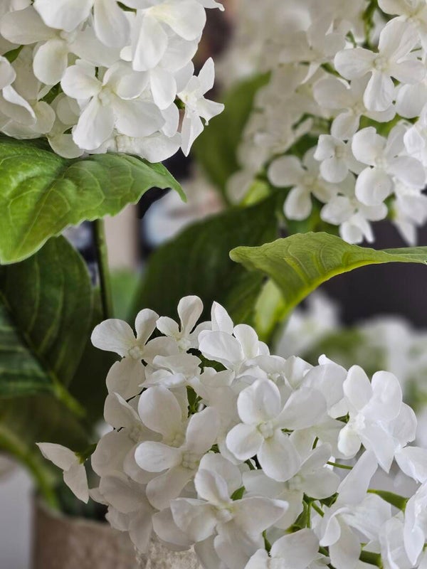 Pluimhortensia spray wit 76cm
