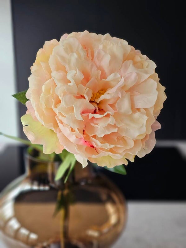 Real touch Pioenroos XL Peach