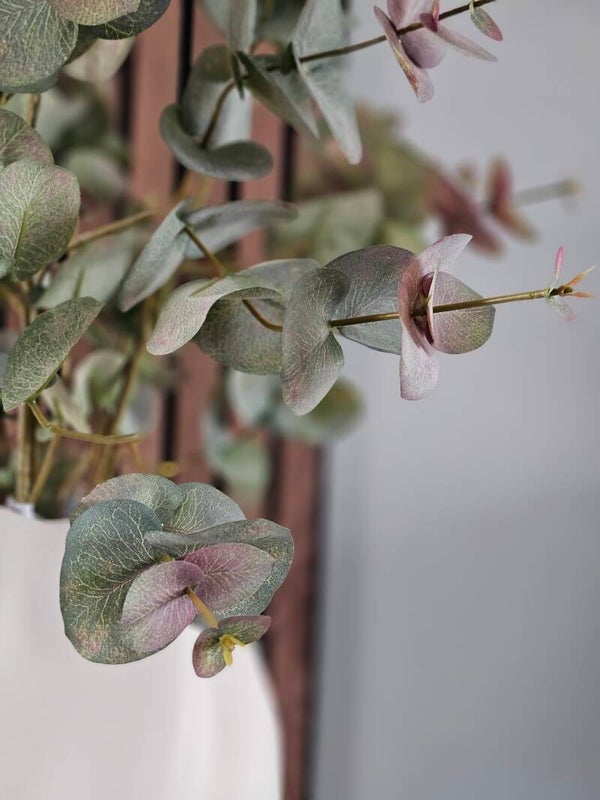 Eucalyptus Groen/ Grijs 97cm