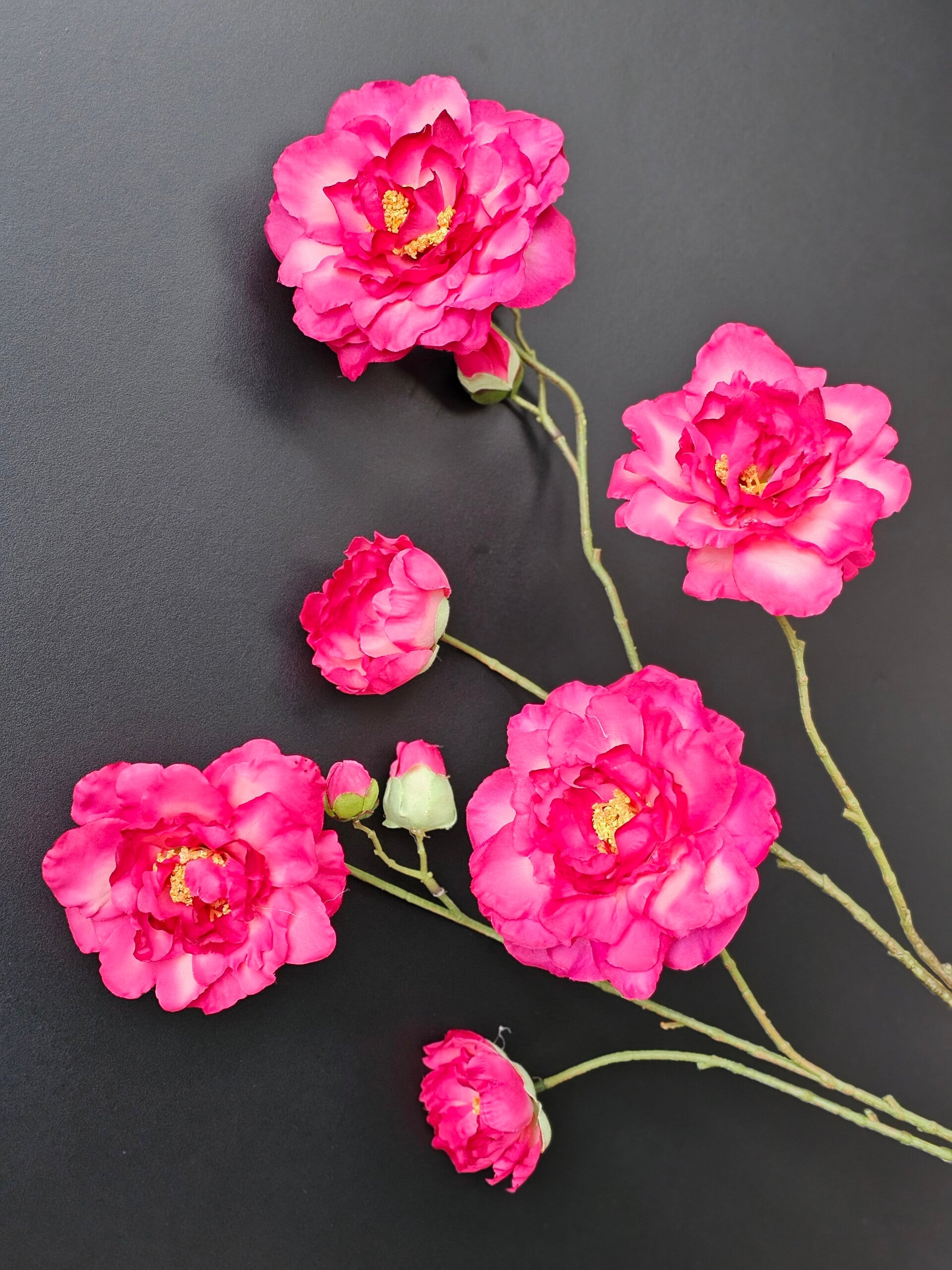 Wild Roses Fuchsia 110cm