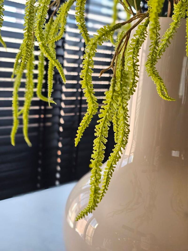 Amaranthus Spray 100cm