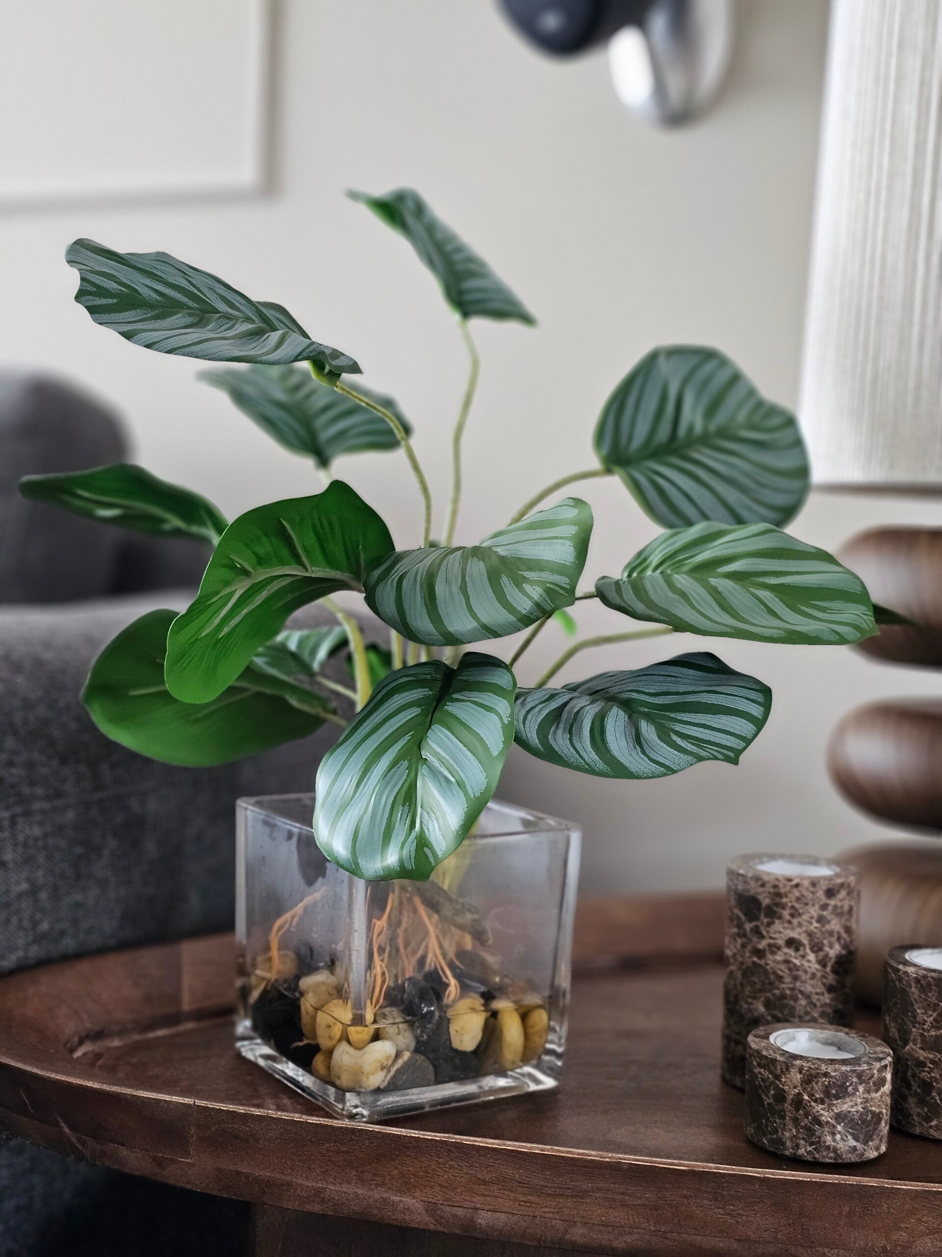 Calanthea in glazen pot