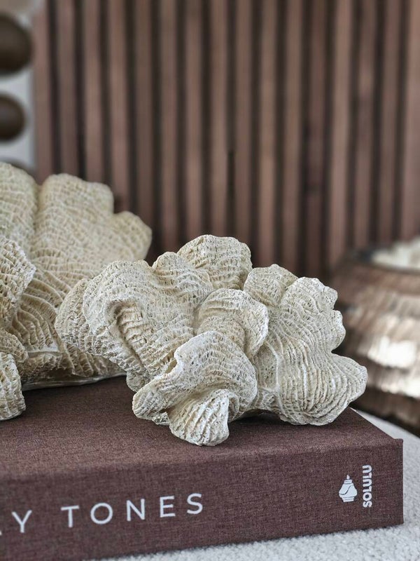Coral Beige M