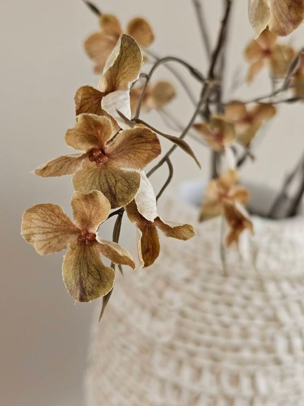 Bloesemtak Brown 132cm