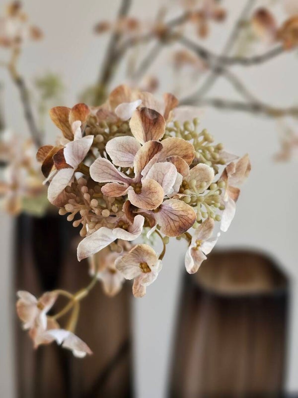 Hortensia tak Brown 109cm