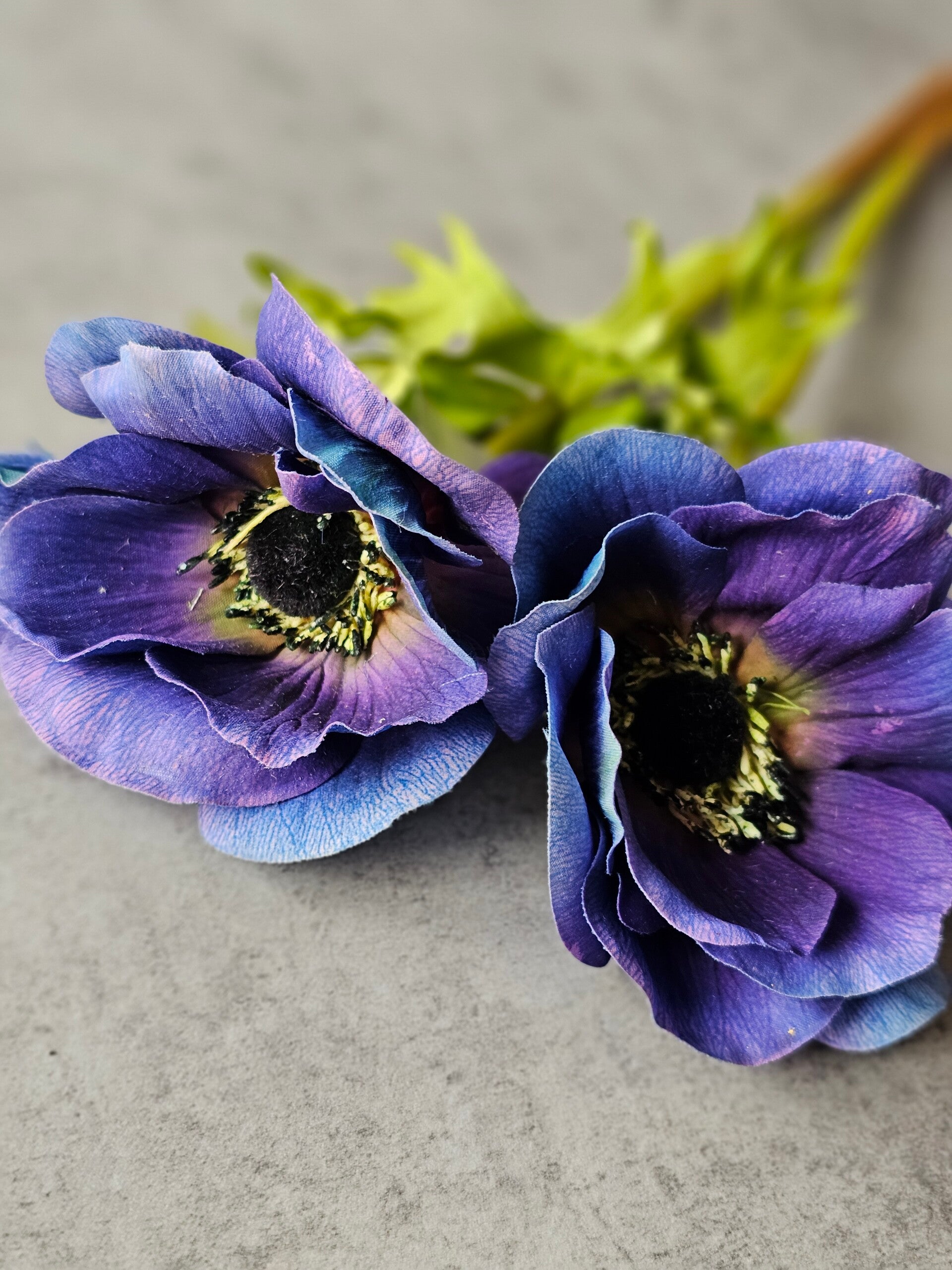 Blauwe Anemone Silkka