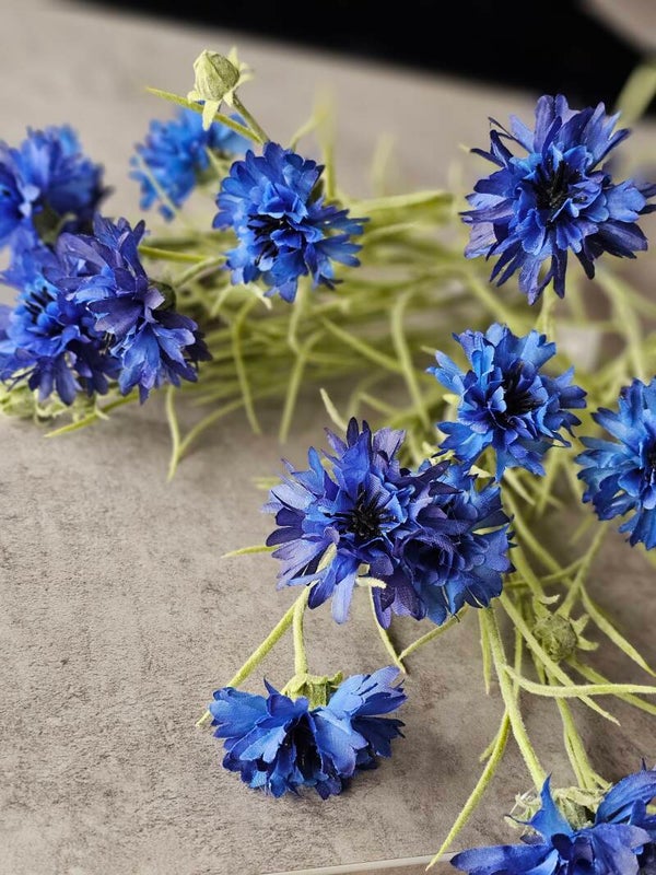Blauwe Korenbloem Silkka