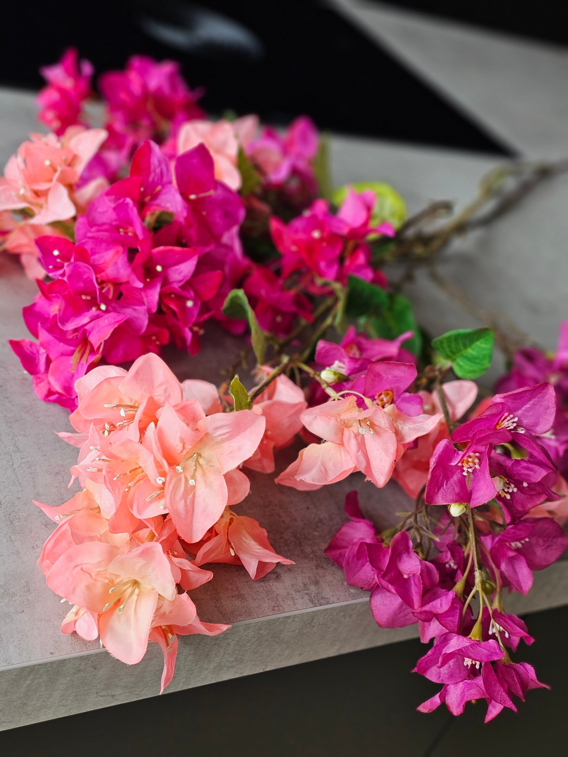 Bundel Bougainvillea 3 stuks