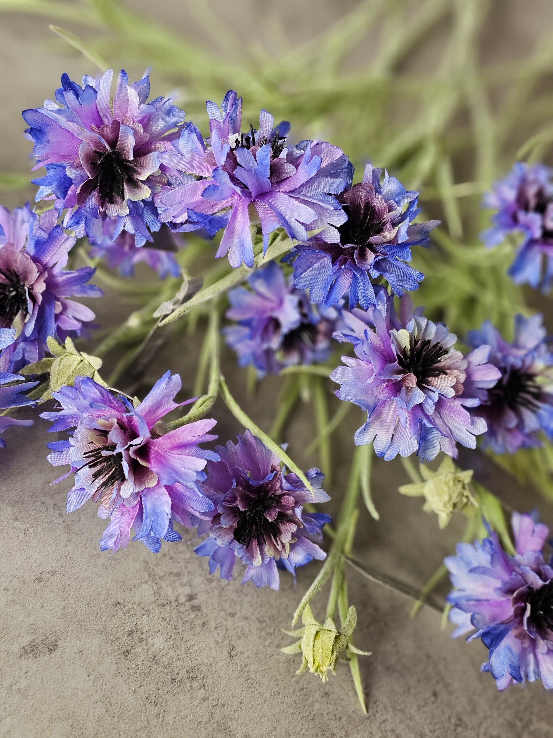 Korenbloem paars Silkka