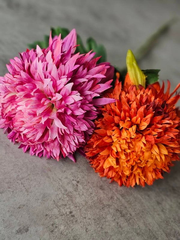 2 x Chrysanten